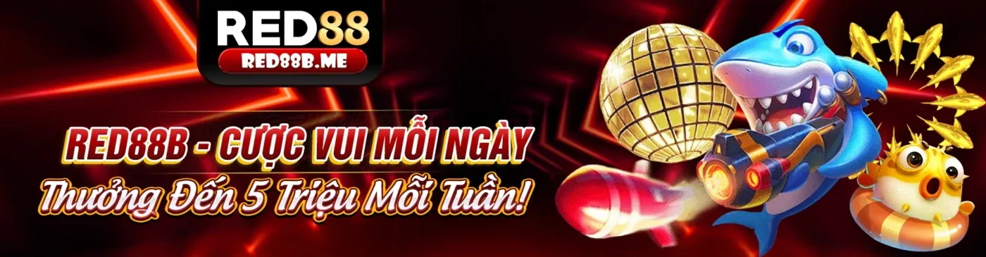 Giấy phép hoạt động và chính sách bảo mật nghiêm ngặt của 88e nhà cái